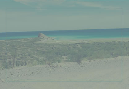 CABO PULMO
