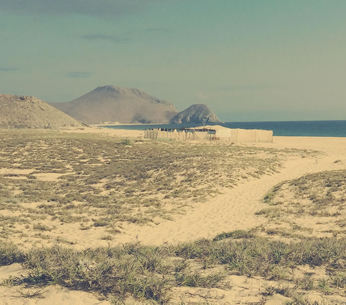TODOS SANTOS