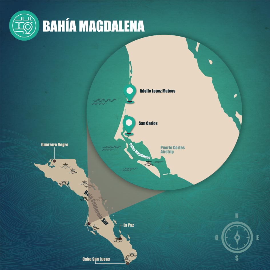 Ruta 1 Paradas BahÍa Magdalena 3422